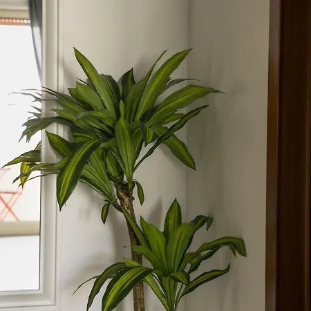 Ca Del Mar - Apulian Group Daire